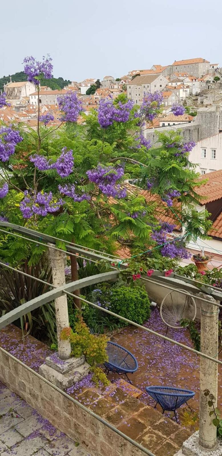 Villa Ani Apartment Ariel Dubrovnik Buitenkant foto